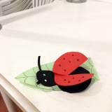 ladybird-craft